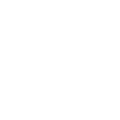 The Wild