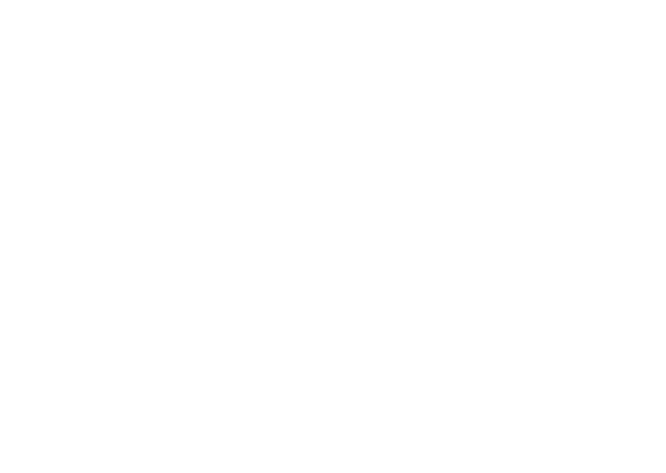 DZ Logo
